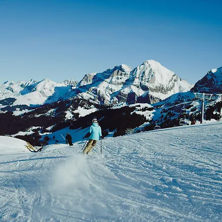 The Cambrian Otel Adelboden