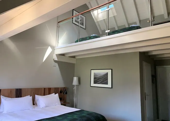 The Cambrian 4*