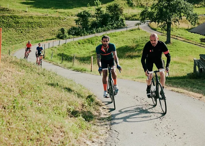 寒武纪酒店 酒店 4*