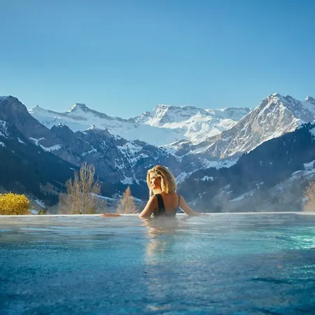 The Cambrian Hotell 4*