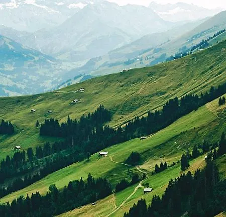 The Cambrian Hotell Adelboden